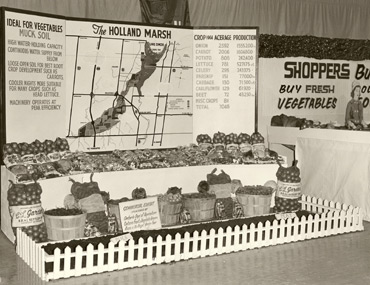 Holland Marsh History