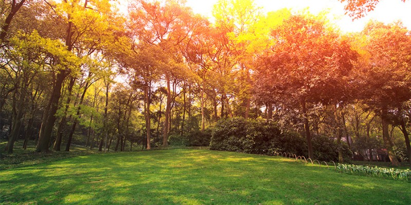Depositphotos_33548503_original